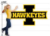 Iowa Hawkeyes 01 82x47 inch Huge Fabric Wall Skin