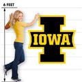 Iowa Hawkeyes 14 I Iowa 47x47 inch Huge Fabric Wall Skin